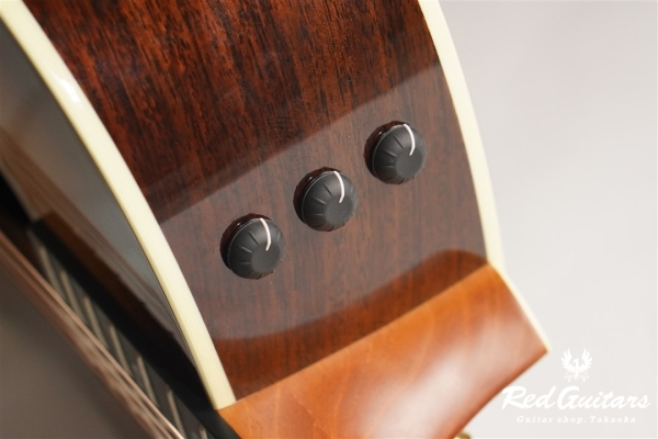 2022 Limited Edition 414ce Rosewood V-Class SEB